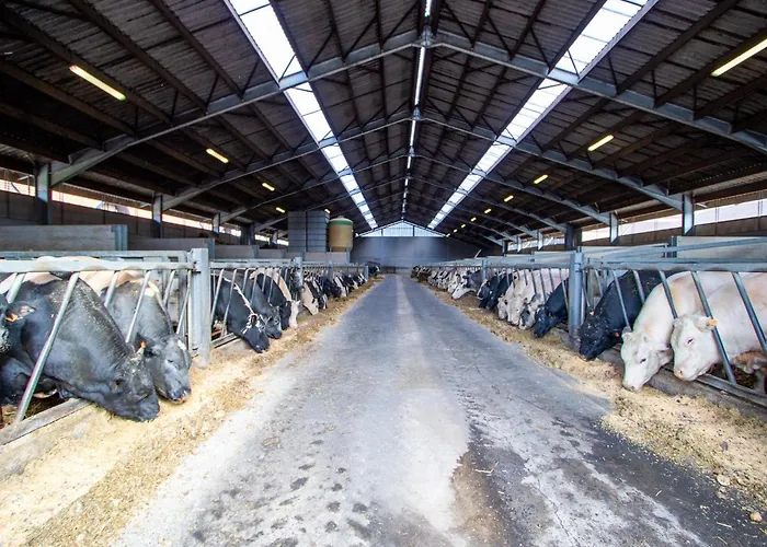 Family Farmhouse, Ploegsteert Holiday home *